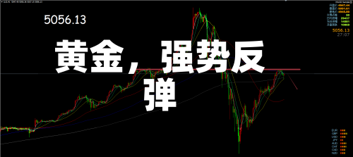 黄金	，强势反弹-第2张图片
