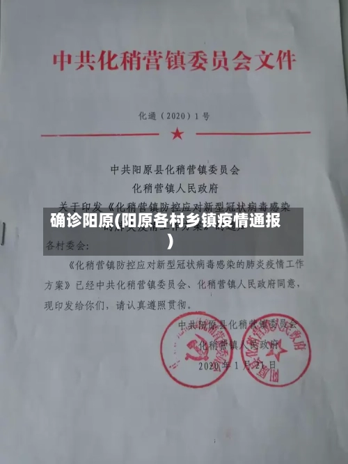 确诊阳原(阳原各村乡镇疫情通报)