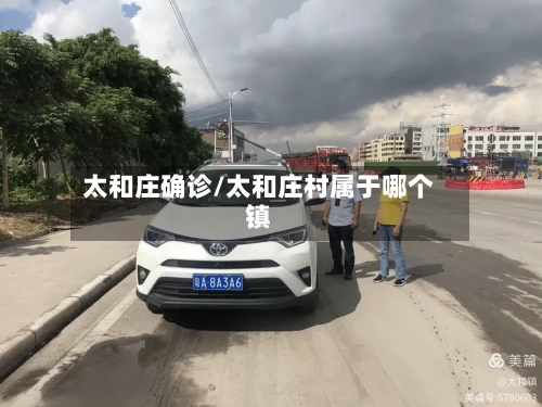 太和庄确诊/太和庄村属于哪个镇-第2张图片