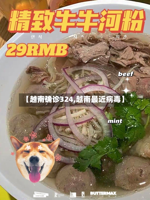【越南确诊324,越南最近病毒】