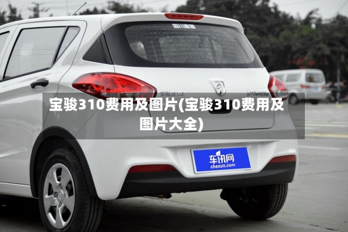 宝骏310费用及图片(宝骏310费用及图片大全)-第3张图片