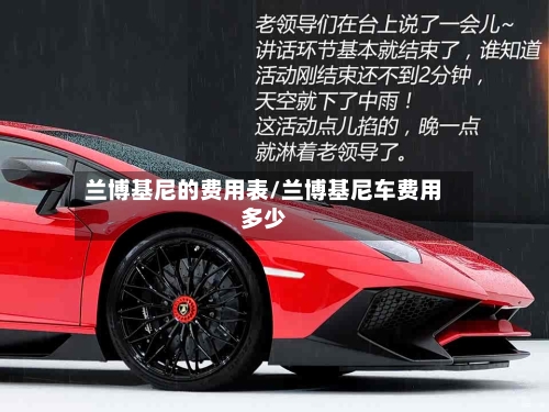 兰博基尼的费用表/兰博基尼车费用多少-第3张图片