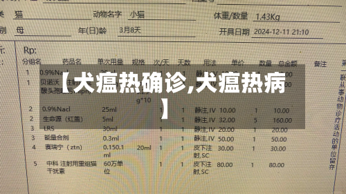 【犬瘟热确诊,犬瘟热病】-第2张图片