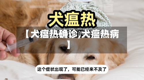 【犬瘟热确诊,犬瘟热病】-第3张图片
