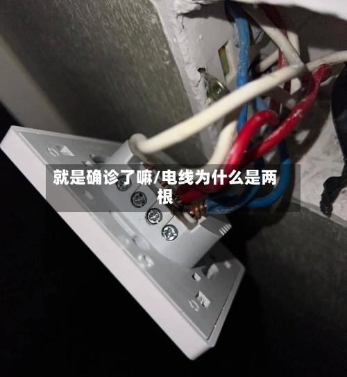 就是确诊了嘛/电线为什么是两根-第2张图片
