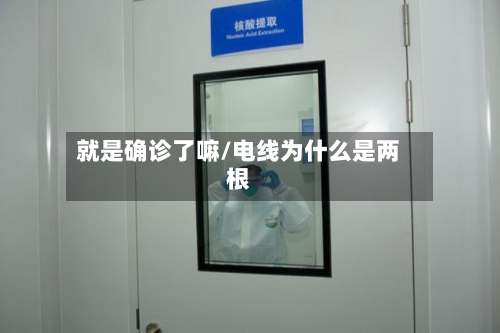 就是确诊了嘛/电线为什么是两根