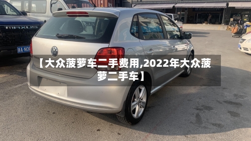【大众菠萝车二手费用,2022年大众菠萝二手车】-第2张图片