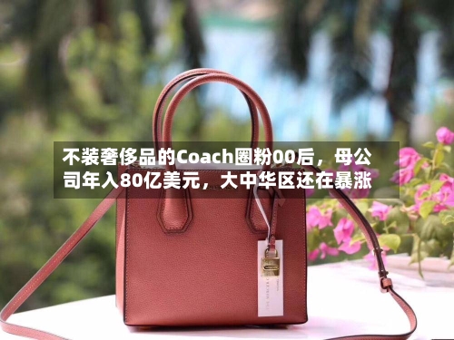 不装奢侈品的Coach圈粉00后，母公司年入80亿美元	，大中华区还在暴涨-第3张图片