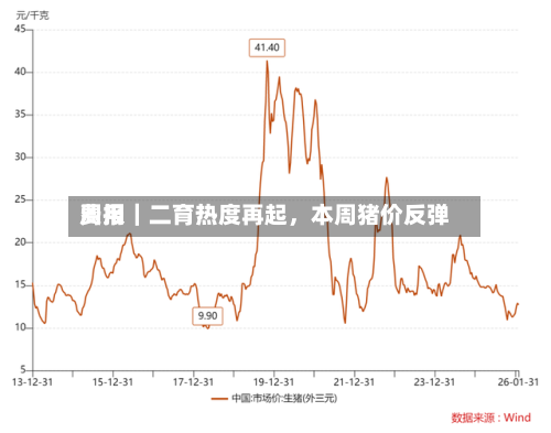 费用周报｜二育热度再起，本周猪价反弹