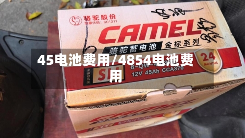 45电池费用/4854电池费用-第2张图片