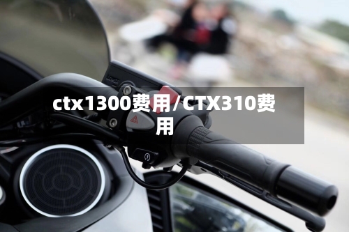 ctx1300费用/CTX310费用-第2张图片