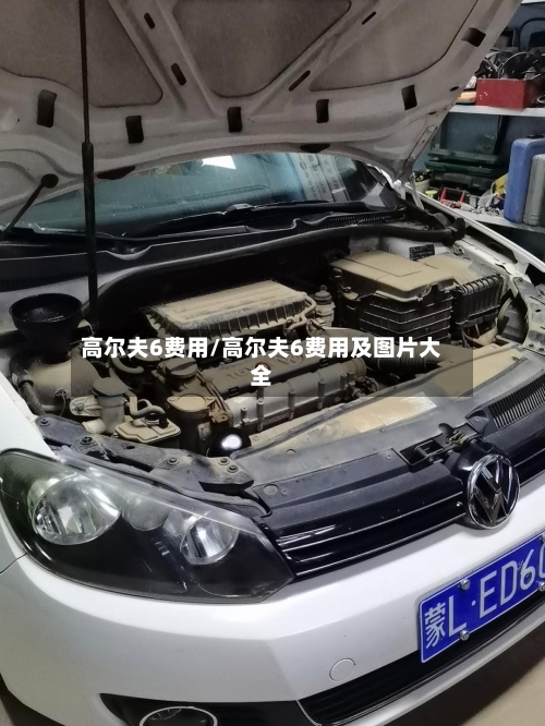 高尔夫6费用/高尔夫6费用及图片大全