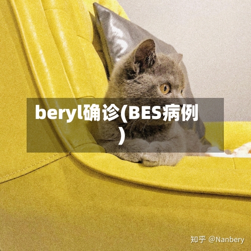 beryl确诊(BES病例)-第3张图片