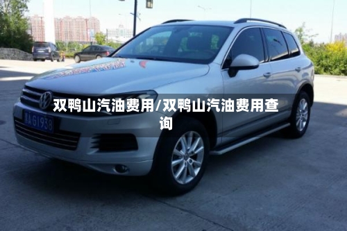 双鸭山汽油费用/双鸭山汽油费用查询