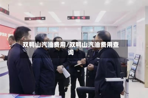 双鸭山汽油费用/双鸭山汽油费用查询-第2张图片