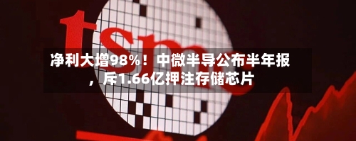 净利大增98%！中微半导公布半年报	，斥1.66亿押注存储芯片-第2张图片