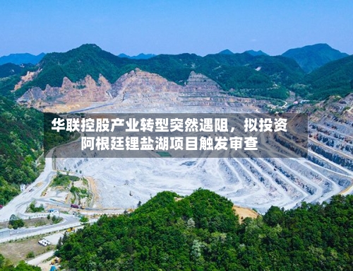 华联控股产业转型突然遇阻	，拟投资阿根廷锂盐湖项目触发审查-第2张图片