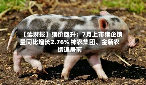 【读财报】猪价回升：7月上市猪企销量同比增长2.76% 神农集团、金新农增速居前-第2张图片