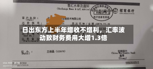 日出东方上半年增收不增利，汇率波动致财务费用大增1.3倍-第2张图片
