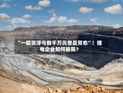 “一船货浮亏数千万元曾是常态	”！锂电企业如何破局？-第2张图片