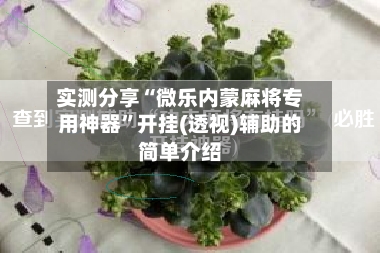 实测分享“微乐内蒙麻将专用神器	”开挂(透视)辅助的简单介绍-第2张图片