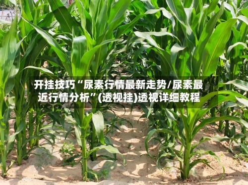 开挂技巧“尿素行情最新走势/尿素最近行情分析”(透视挂)透视详细教程-第2张图片