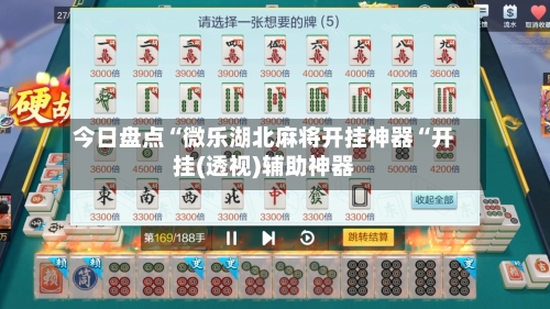 今日盘点“微乐湖北麻将开挂神器“开挂(透视)辅助神器-第2张图片