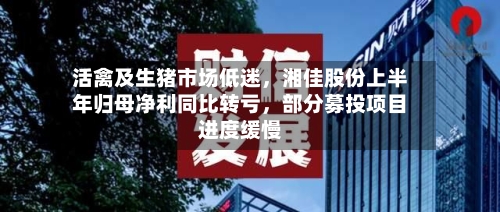 活禽及生猪市场低迷，湘佳股份上半年归母净利同比转亏，部分募投项目进度缓慢-第2张图片