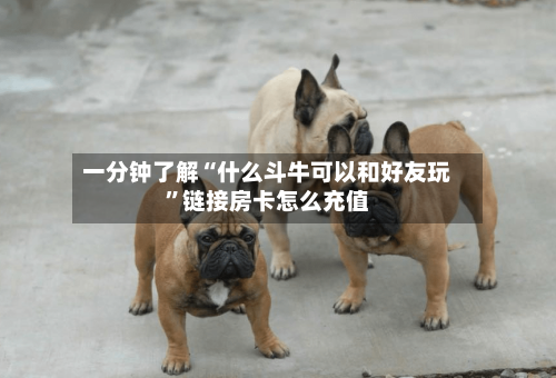 一分钟了解“什么斗牛可以和好友玩	”链接房卡怎么充值-第2张图片
