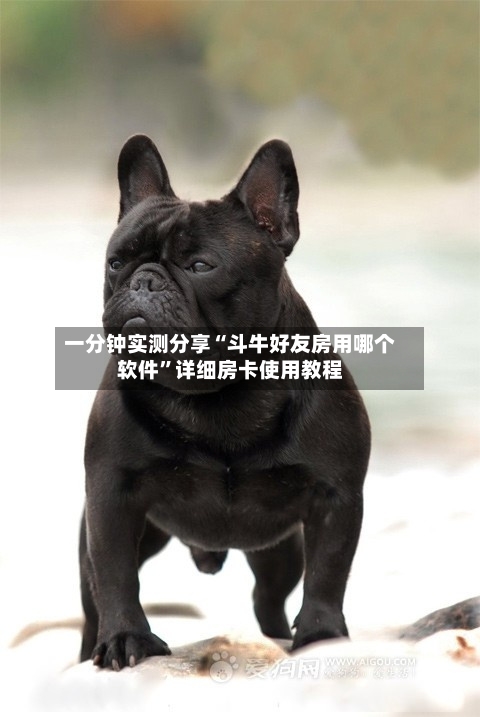 一分钟实测分享“斗牛好友房用哪个软件”详细房卡使用教程-第3张图片
