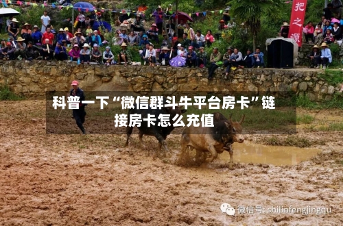 科普一下“微信群斗牛平台房卡”链接房卡怎么充值-第2张图片