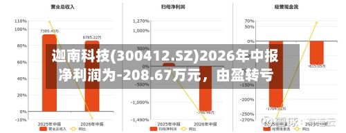 迦南科技(300412.SZ)2026年中报净利润为-208.67万元，由盈转亏-第2张图片