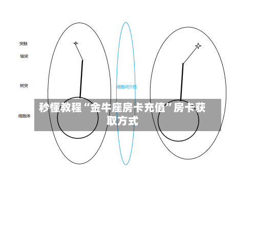 秒懂教程“金牛座房卡充值”房卡获取方式-第2张图片