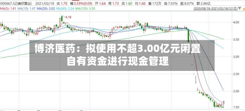 博济医药：拟使用不超3.00亿元闲置自有资金进行现金管理-第3张图片