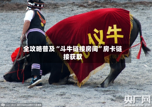 全攻略普及“斗牛链接房间”房卡链接获取-第2张图片