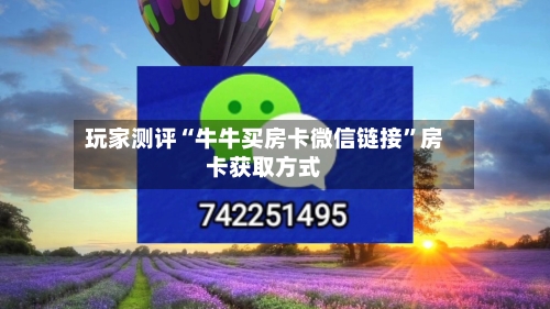 玩家测评“牛牛买房卡微信链接”房卡获取方式-第2张图片