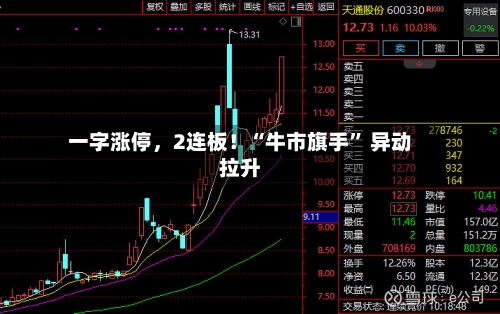一字涨停，2连板！“牛市旗手” 异动拉升-第3张图片