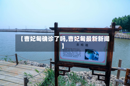 【曹妃甸确诊了吗,曹妃甸最新新闻】