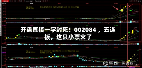 开盘直接一字封死！002084 ，五连板，这只小票火了-第2张图片