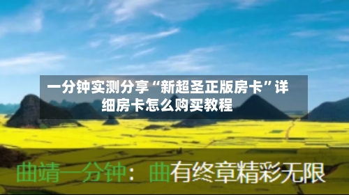 一分钟实测分享“新超圣正版房卡”详细房卡怎么购买教程-第2张图片