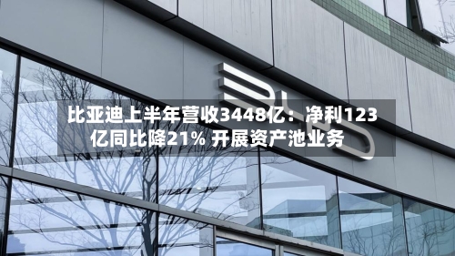 比亚迪上半年营收3448亿：净利123亿同比降21% 开展资产池业务-第3张图片
