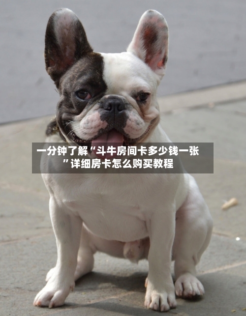 一分钟了解“斗牛房间卡多少钱一张	”详细房卡怎么购买教程-第2张图片