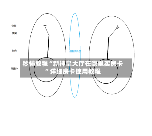 秒懂教程“新神皇大厅在哪里买房卡	”详细房卡使用教程-第2张图片