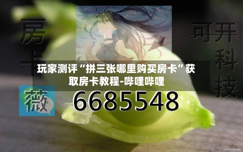 玩家测评“拼三张哪里购买房卡”获取房卡教程-哔哩哔哩-第2张图片