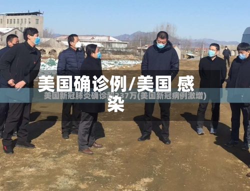 美国确诊例/美国 感染