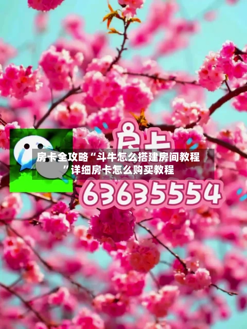 房卡全攻略“斗牛怎么搭建房间教程”详细房卡怎么购买教程-第3张图片
