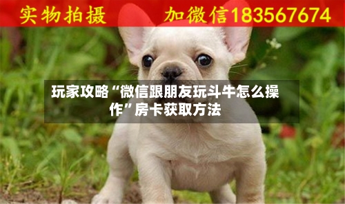 玩家攻略“微信跟朋友玩斗牛怎么操作	”房卡获取方法-第2张图片