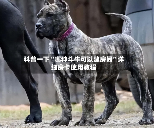 科普一下“哪种斗牛可以建房间	”详细房卡使用教程-第2张图片