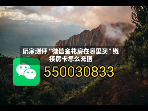玩家测评“微信金花房在哪里买”链接房卡怎么充值-第2张图片