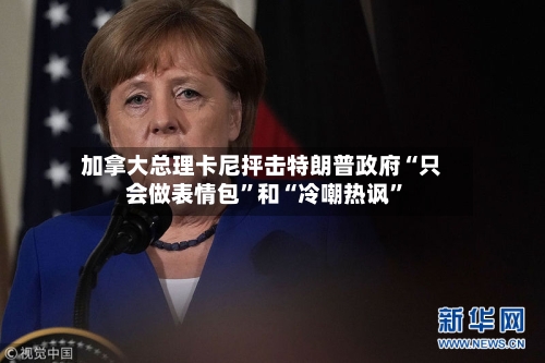 加拿大总理卡尼抨击特朗普政府“只会做表情包”和“冷嘲热讽	”-第2张图片